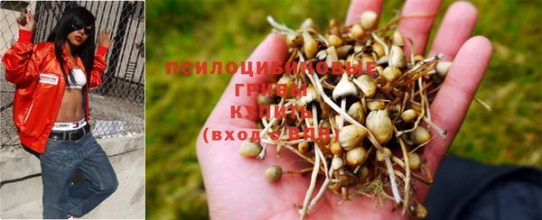 трава Сафоново