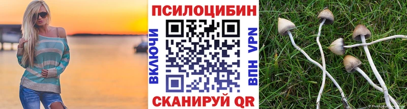 купить наркотики цена  Льгов  Псилоцибиновые грибы ЛСД 